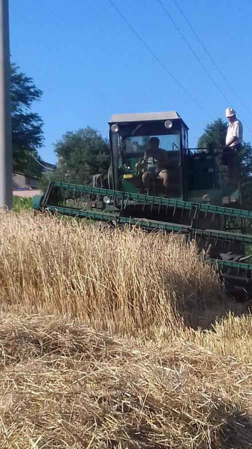 בריזיגלה Agriturismo Pedrosola מראה חיצוני תמונה