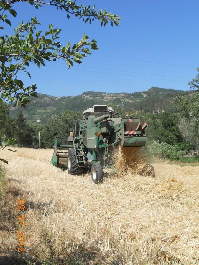 בריזיגלה Agriturismo Pedrosola מראה חיצוני תמונה